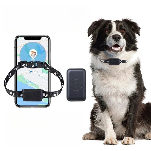 P03 Pet GPS Tracker RealTime Tracking Quadruple precise positioning App controlled for Dogs/Cats,Car, the elderly person Locator - Merit Sell