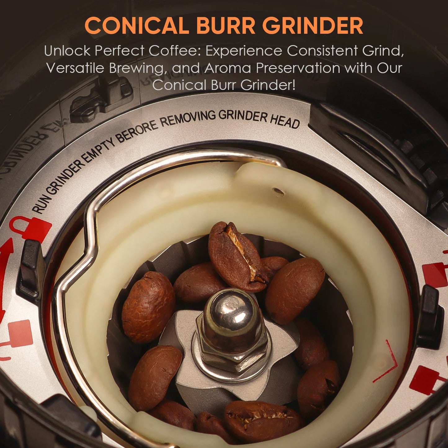 BioloMix Electric Conical Burr Coffee Grinder with Removable Holder,with 48 Grind Settings Adjustable,for Espresso Coffee