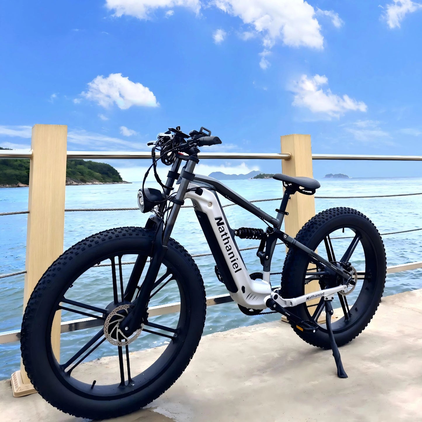 Nathaniel SYR09 26*4.0 electric bike, dual motor 2000W integrated wheel, 48V 20Ah, adjustable shock absorption, suitable for be