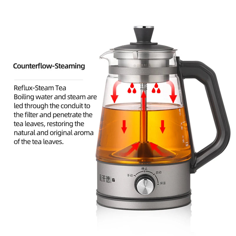110V 220V Electric Kettle Automatic Steam Spray Teapot Multifunctional Glass Health Pot Thermo Pot Household Boil Water Kettle - Merit Sell