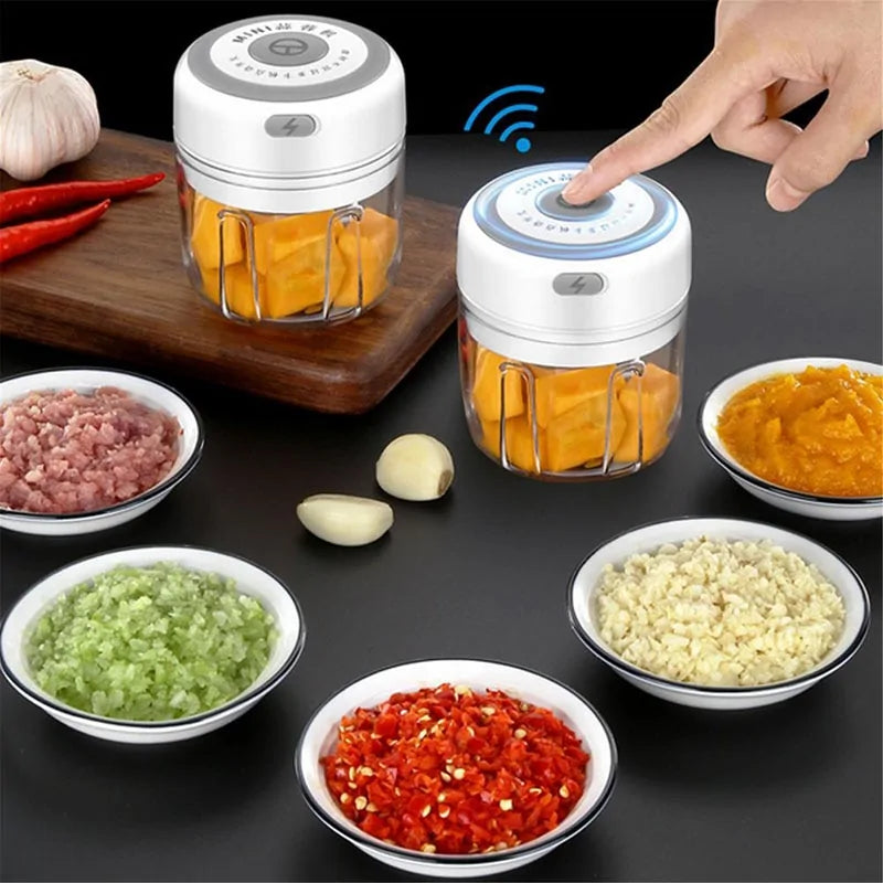 Electric Food Crusher Mini