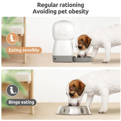 3.5L Automatic Pet Feeder Smart Food Dispenser For Cats Dogs Timer Stainless Steel Bowl Auto Dog Cat Pet Feeding Pet Supplies - Merit Sell
