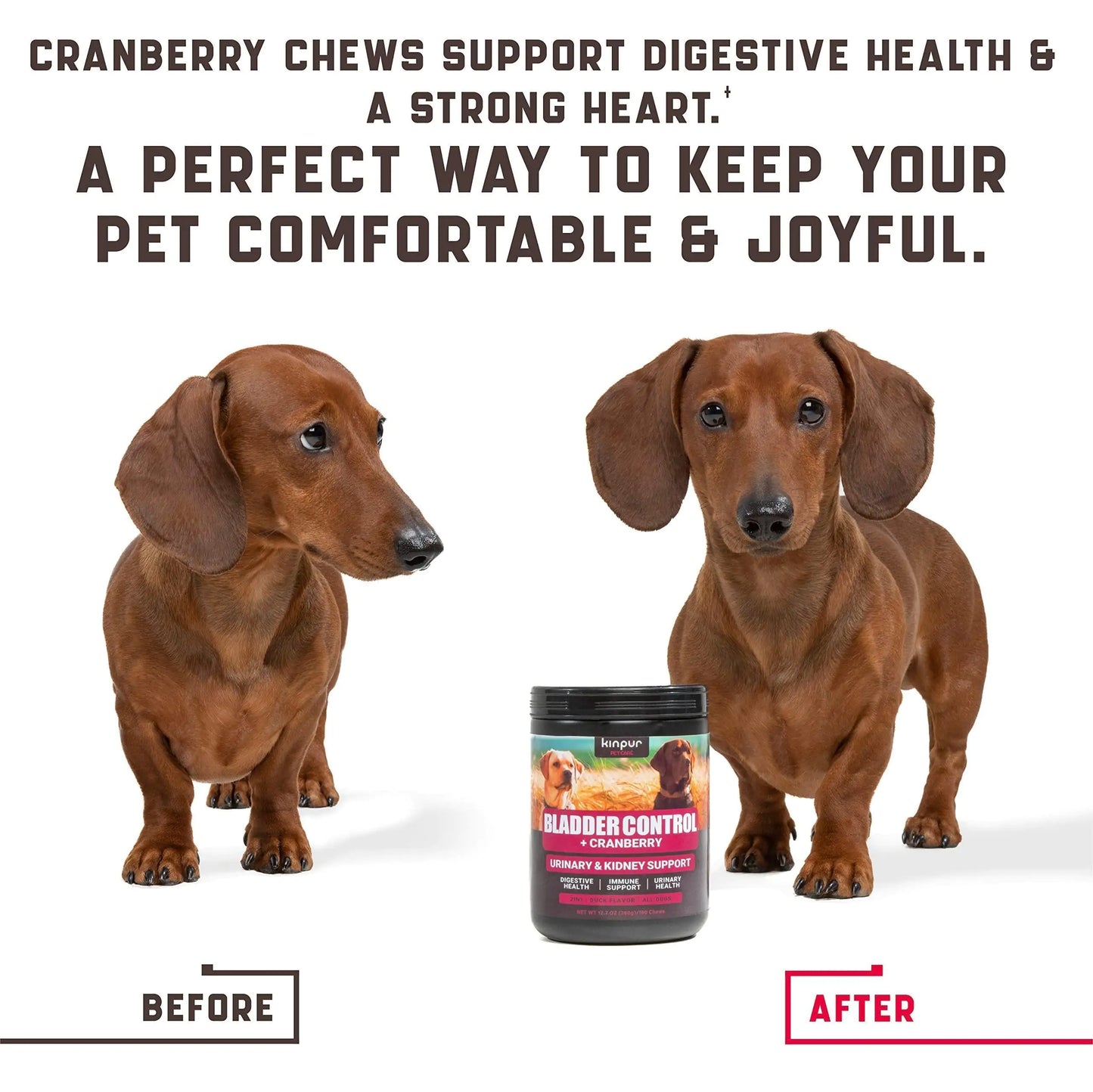 180 Cranberry Chews for Dogs | Natural Urinary Tract Support