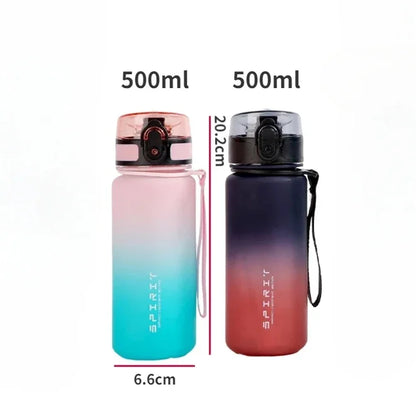 500ML Frosted, Shockproof, Portable Large-capacity Water Bottle with Filter and Portable Rope, Suitable for Outdoor Travel - Merit Sell