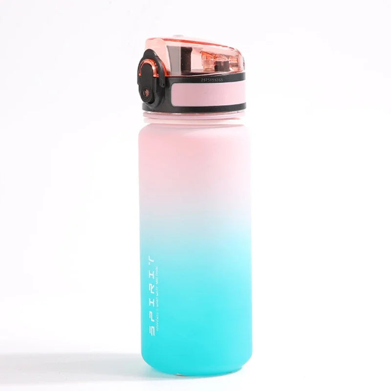 500ML Frosted, Shockproof, Portable Large-capacity Water Bottle with Filter and Portable Rope, Suitable for Outdoor Travel - Merit Sell