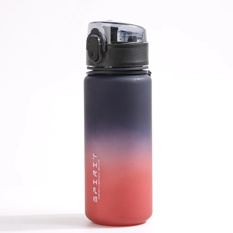 500ML Frosted, Shockproof, Portable Large-capacity Water Bottle with Filter and Portable Rope, Suitable for Outdoor Travel - Merit Sell
