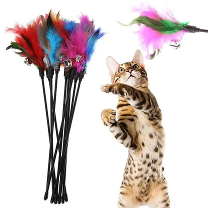5pcs Funny Kitten Cat Teaser Interactive Toy Rod with Bell and Feather Toys For Pet Cats Stick Wire Chaser Wand Toy Random Color - Merit Sell