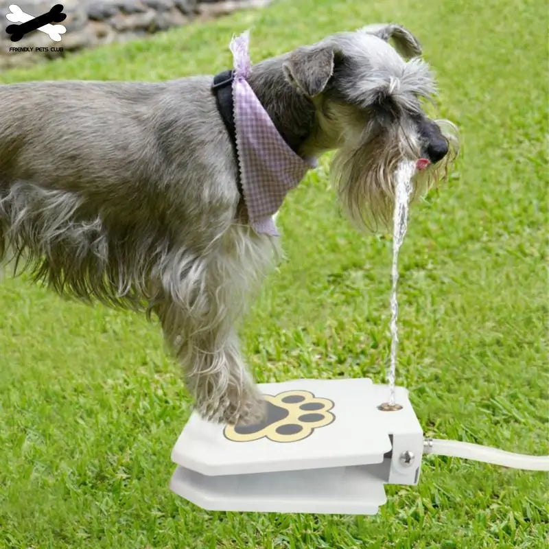 Automatic Dog Drinking Fountain | Fresh Water Anytime