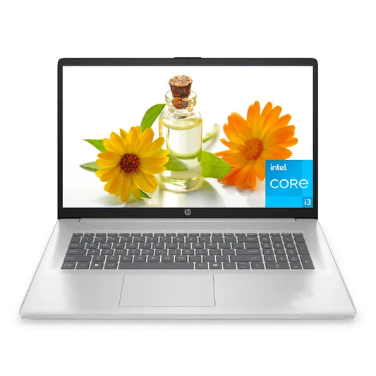 HP 17.3" HD+ Business Laptop,Intel Core i3-N305,32GB DDR4 RAM,2TB SSD,Intel UHD Graphics,Wi-Fi 6,Windows 11 Home,Natural Silver