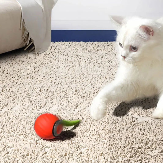 Automatic Moving Cat Toy Ball Smart Cat Toys Two Speed Adjustment Speedy Tail Cat Toy with Replacement Tail - Merit Sell