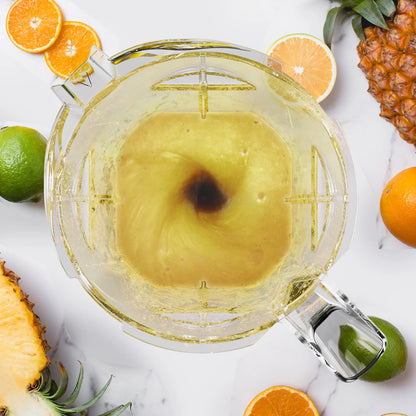 BioloMix 2200W Professional Smart Timer Pre-programed Blender, 2L round jar, Mixer Juicer Food Processor Ice Smoothies Crusher - Merit Sell