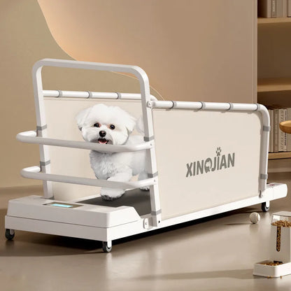 Dog treadmill, large, medium, small, dog, cat, universal animal, home use, sports training, walking machine, pet - Merit Sell
