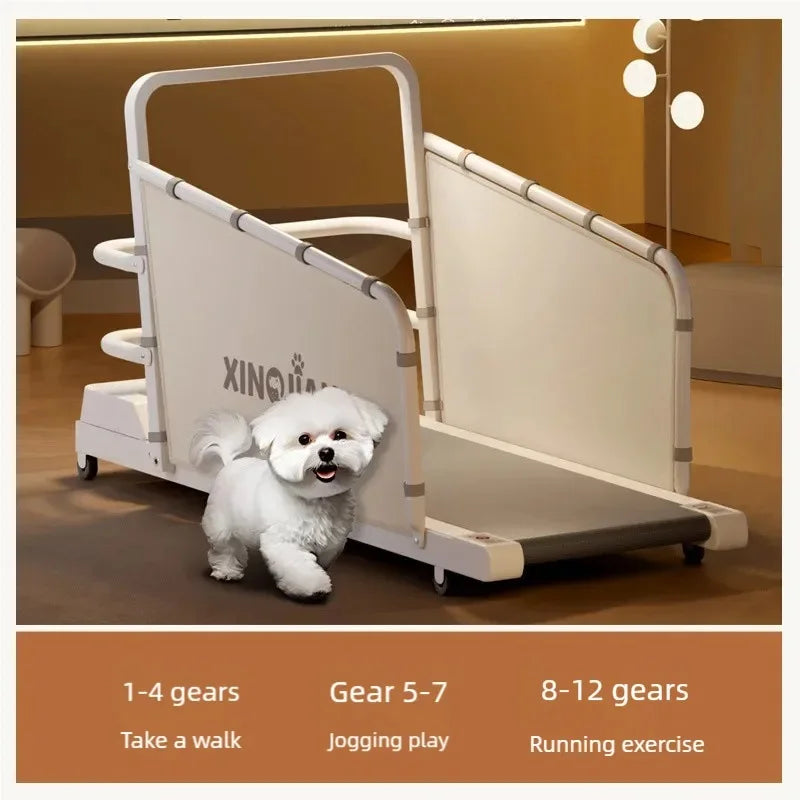 Dog treadmill, large, medium, small, dog, cat, universal animal, home use, sports training, walking machine, pet - Merit Sell