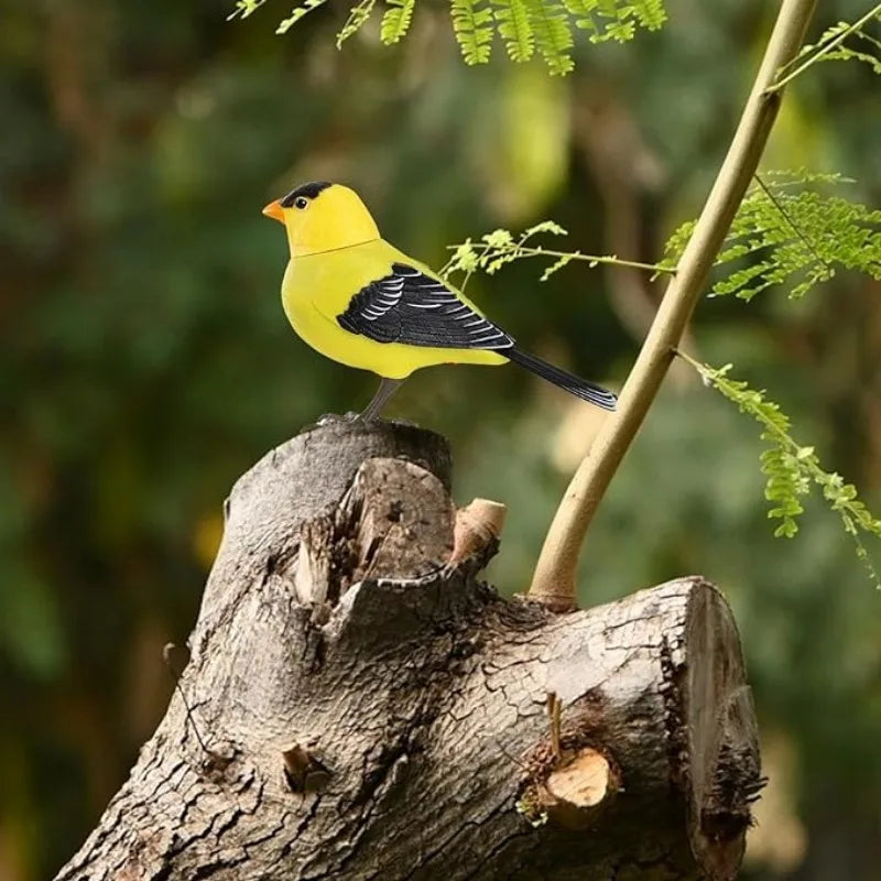 Electric Singing Bird Toy Cute Interactive Bird Toy Simulation Electronic Bird Toys for Kids with Motion & Sound Control - Merit Sell