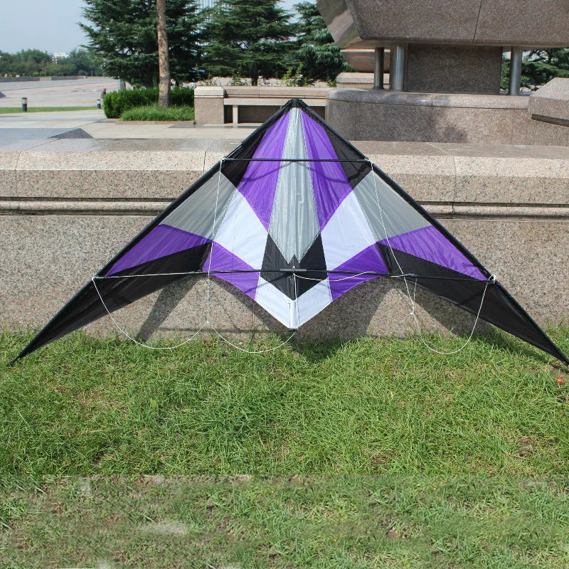 Professional outdoor Fun Sports 1.8 m Delta Dual  Line Stunt Wind Kite / Power Kites Good Flying With Handle And Line