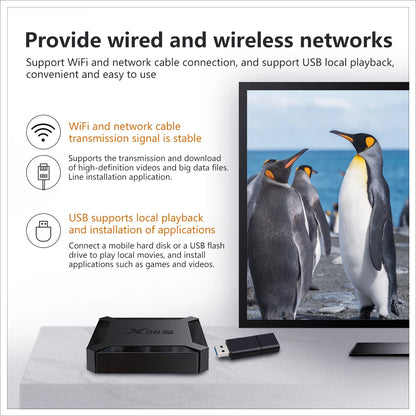 X96Q TV Box Android 10 2GB 16GB Allwinner H313 Quad Core 4K 60fps 2.4G Wifi Youtube X96 Android TVBOX Set Top Box 1GB 8GB