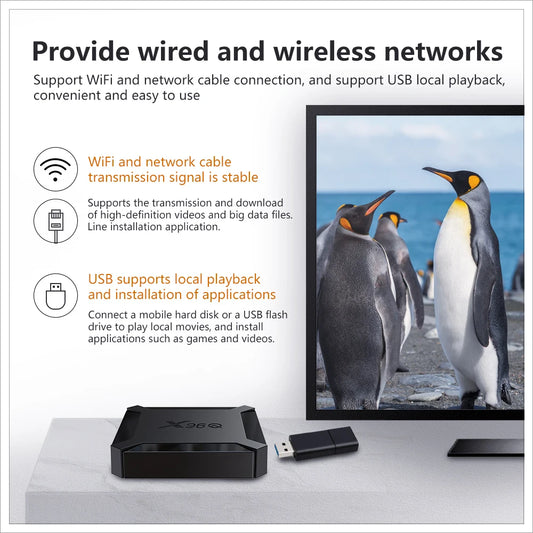 X96Q TV Box Android 10 2GB 16GB Allwinner H313 Quad Core 4K 60fps 2.4G Wifi Youtube X96 Android TVBOX Set Top Box 1GB 8GB