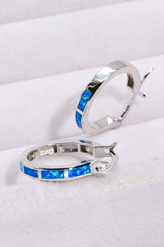 Lovelier Than Ever Opal Platinum-Plated Earrings - Merit Sell