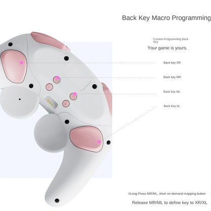 Private Model Retro Switch PRO Handle Mechanical Button Vibration Somatosensory Dual Hall Rocker Joystick Game Controller - Merit Sell