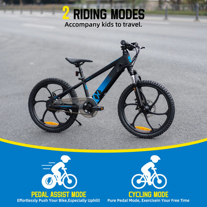 JOYSTAR Electric Bike for Kids Teens Ages 7+ with 250W Motor, 15 Miles 15MPH Electric Mountain Bicycle Safe Mini Ebikes