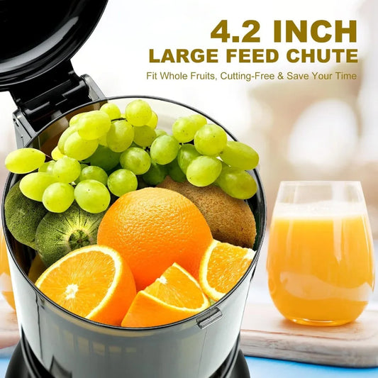 Cold press juicer with 4.2inch large feed chute for whole fruits and vegetables slow juicing extraction machine with 250W masti Merit Sell