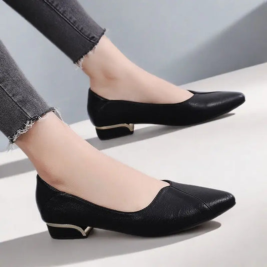 2025 Spring and Autumn New Pointed Toe Single Shoes Women Thick Heel Shallow Mouth Professional All-match Women's Leather Shoes