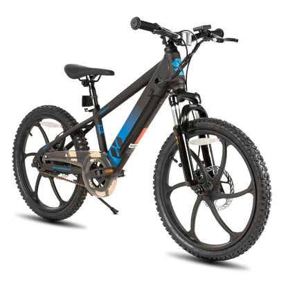 JOYSTAR Electric Bike for Kids Teens Ages 7+ with 250W Motor, 15 Miles 15MPH Electric Mountain Bicycle Safe Mini Ebikes
