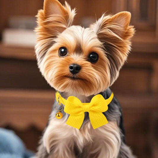 New Waffle Bow Pet Collar Simple Cute Cat Collar Adjustable Yorkshire Chihuahua Small Dog Collar All-match Pet Accessories - Merit Sell