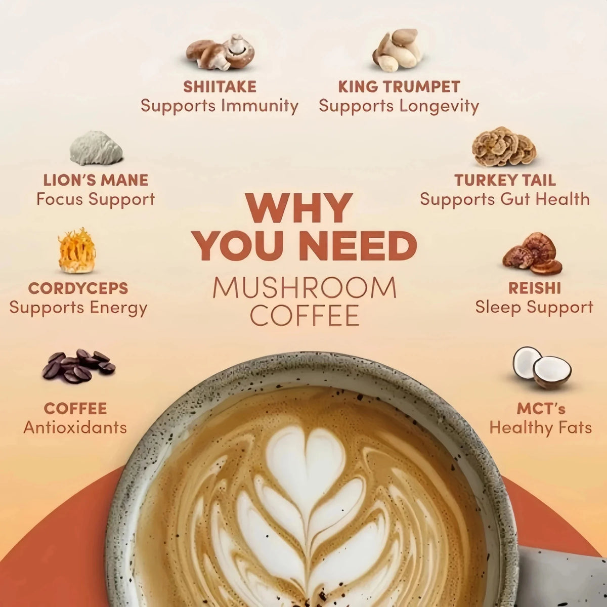 Organic Mushroom Matcha & Coffee, 2000mg Adaptogenic Blends, USDA Certified, Made in USA for Energy & Focus