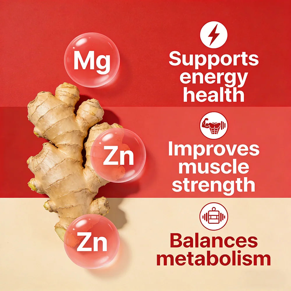 Magnesium + Carnitine + Zinc Capsules - Vitamin B Complex, Supports energy health, Improves muscle strength, Balances metabolism