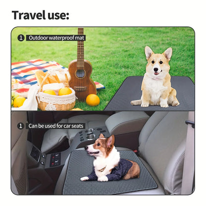 Absorbent Pet Training Pad for Dogs & Cats - Reusable, Leak-Proof Design with Non-Slip Backing for Puppy Potty Training an
