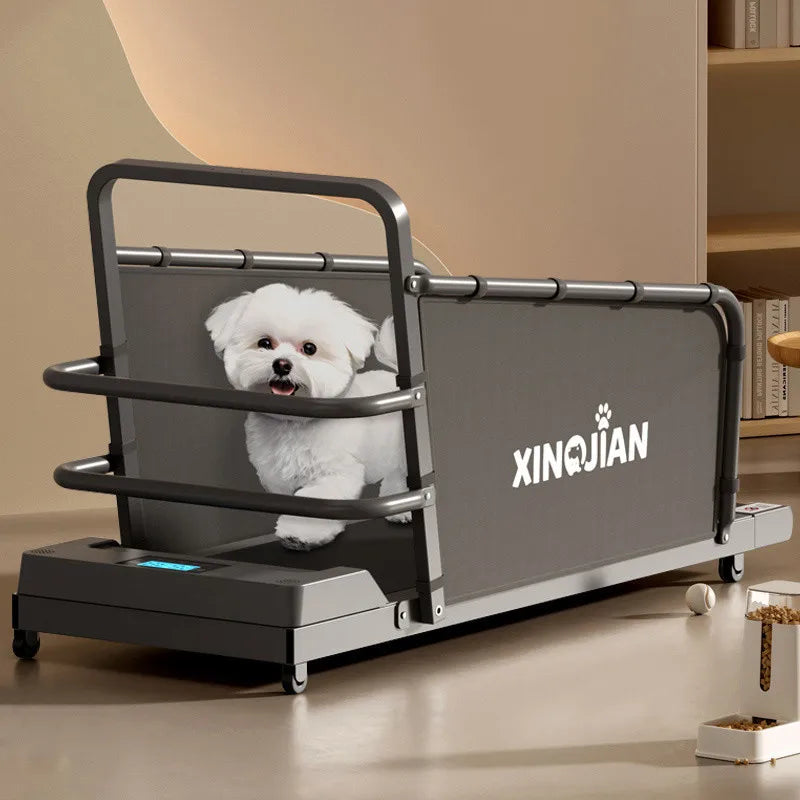 Dog treadmill, large, medium, small, dog, cat, universal animal, home use, sports training, walking machine, pet - Merit Sell