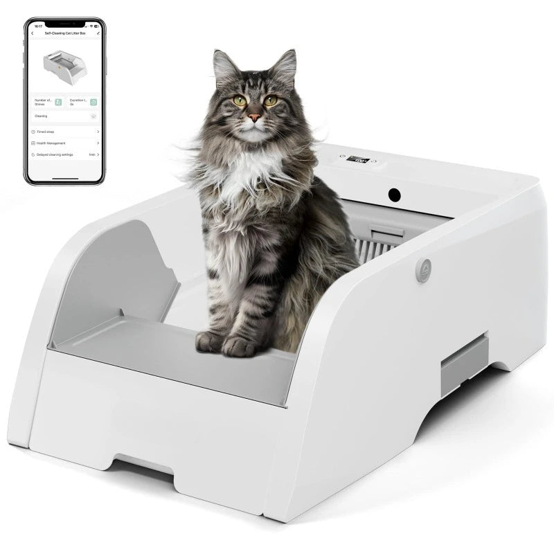 Upgraded Automatic Cat Litter Box Self Cleaning Open Design with Cats Taking to It Immediately, Anti Pinch and Odorless with app