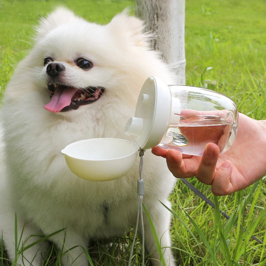 300/550ml Portable Food Grade Material Dog Cat Travel Pet Water Cup Feeding With Lanyard For Small Medium Cats Dogs Pet Supplies