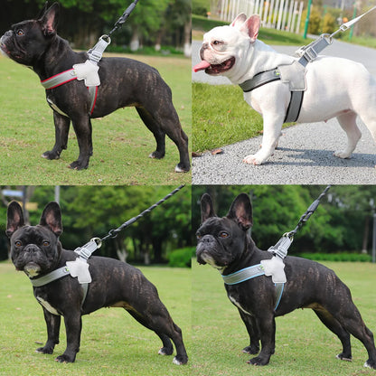 Summer Dog Harness Hiking Puppy Breathable Reflective Chest Strp for Small Medium Dogs Cats Chihuahua French Bulldog Supplies - Merit Sell