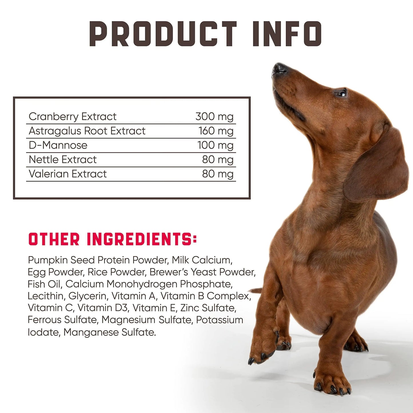 180 Cranberry Chews for Dogs | Natural Urinary Tract Support