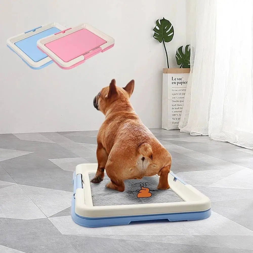 Indoor potty for small dogs with blue and pink options shown, featuring a French Bulldog using the blue potty pad