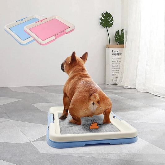 Indoor potty for small dogs with a brown dog using the blue and white training pad in a modern room